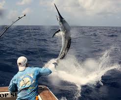 marlin big game fishing photo