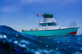 jupiter ledges drift diving boat photo