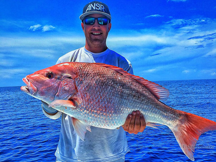 Federal Red Snapper Season in Gulf of Mexico